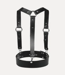 Harness